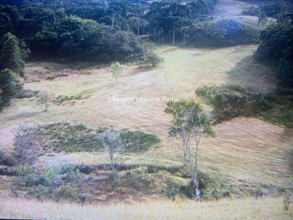 Fazenda à venda de 145 ha em Santo Antônio do Pinhal, SP, Brasil