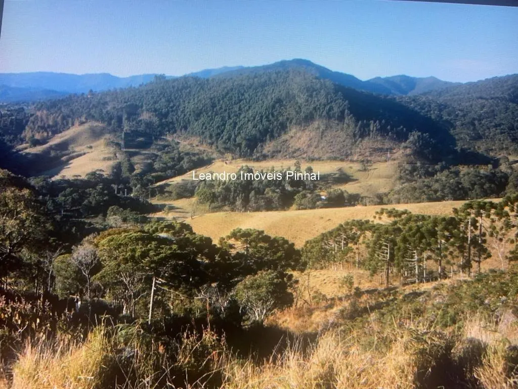 Fazenda à venda de 145 ha em Santo Antônio do Pinhal, SP, Brasil