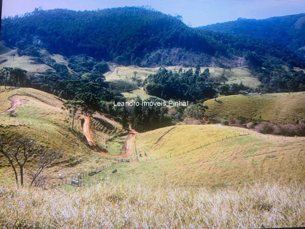 Fazenda à venda de 145 ha em Santo Antônio do Pinhal, SP, Brasil