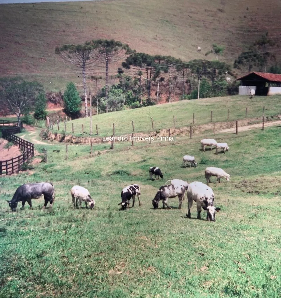 Fazenda à venda de 145 ha em Santo Antônio do Pinhal, SP, Brasil