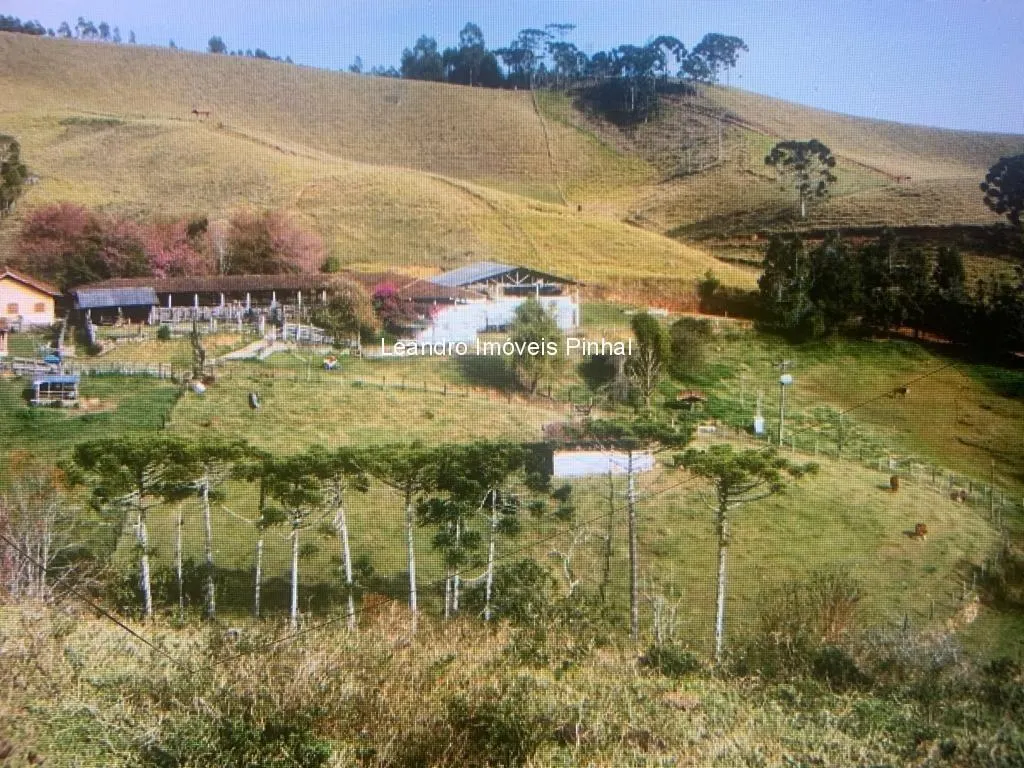 Fazenda à venda de 145 ha em Santo Antônio do Pinhal, SP, Brasil