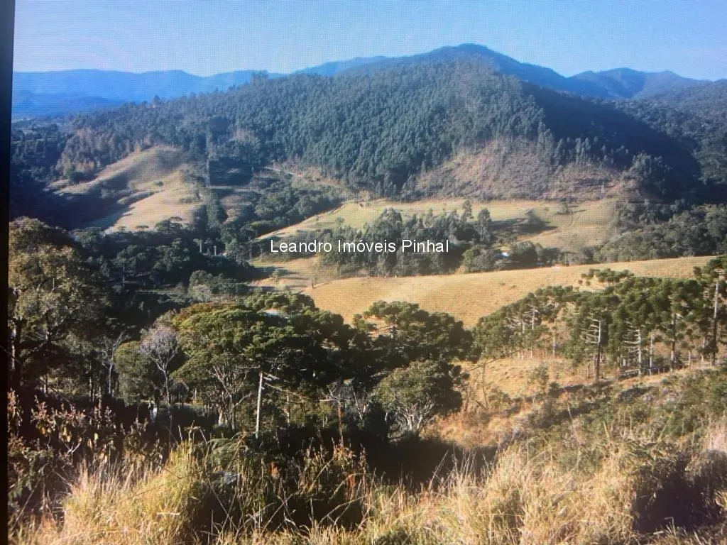 Fazenda à venda de 145 ha em Santo Antônio do Pinhal, SP, Brasil