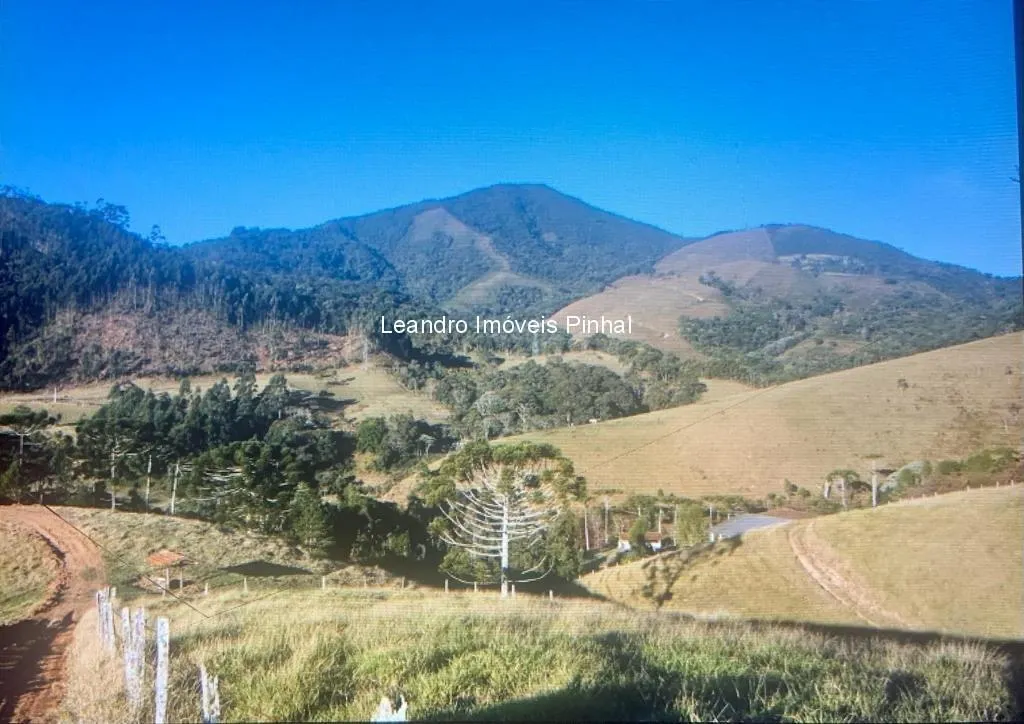 Fazenda à venda de 145 ha em Santo Antônio do Pinhal, SP, Brasil