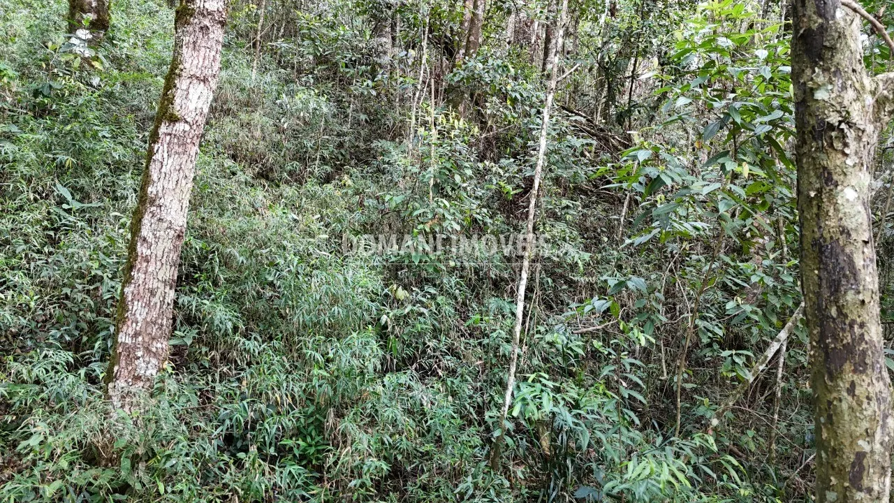 Terreno à venda de 1.040 m² em Campos do Jordão, SP, Brasil
