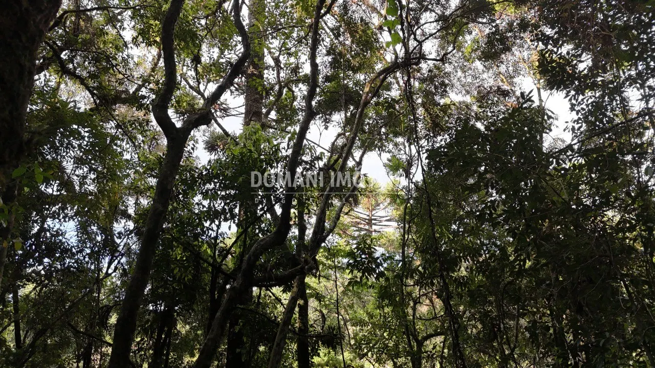 Terreno à venda de 1.040 m² em Campos do Jordão, SP, Brasil