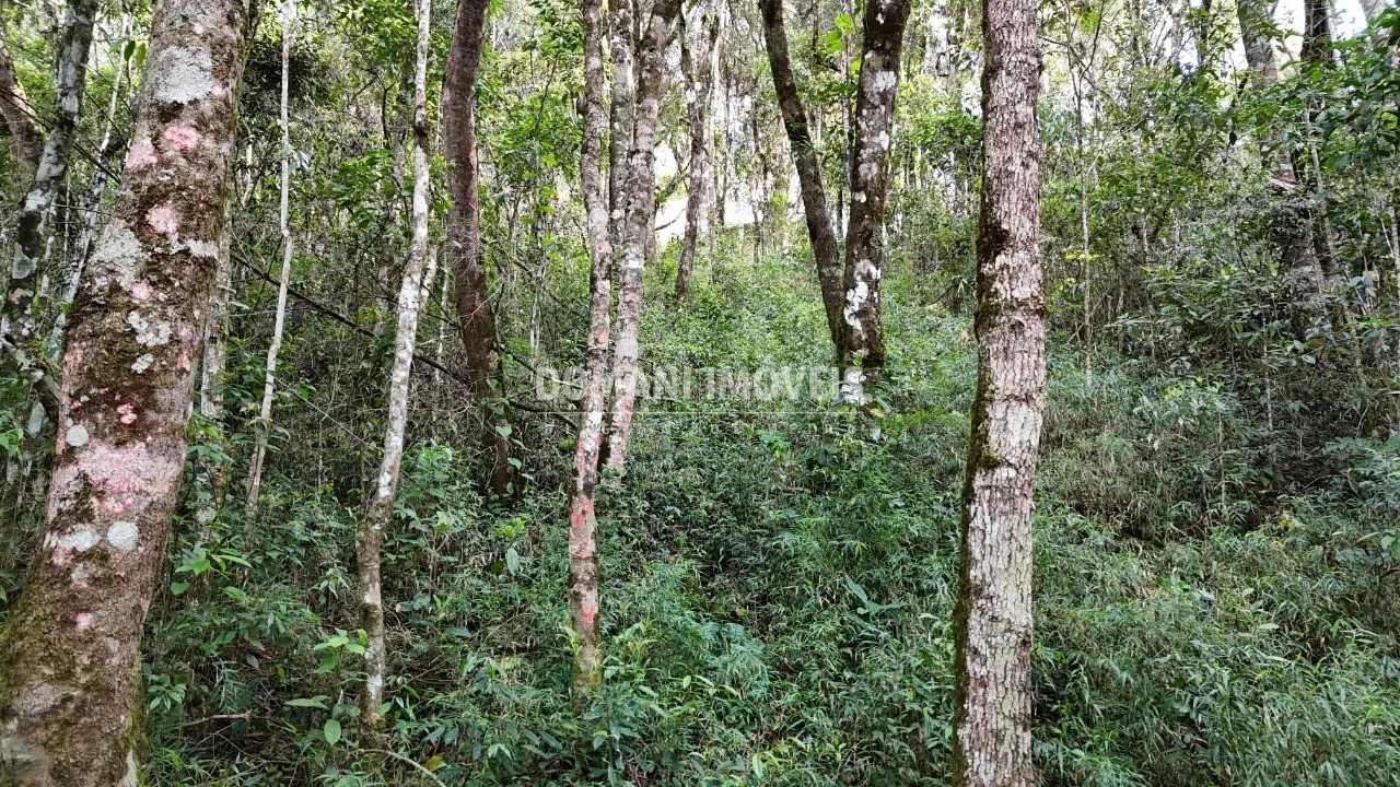 Terreno à venda de 1.040 m² em Campos do Jordão, SP, Brasil