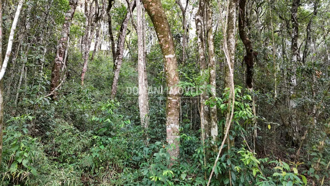 Terreno à venda de 1.040 m² em Campos do Jordão, SP, Brasil