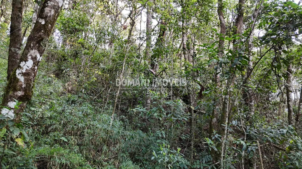 Terreno à venda de 1.040 m² em Campos do Jordão, SP, Brasil