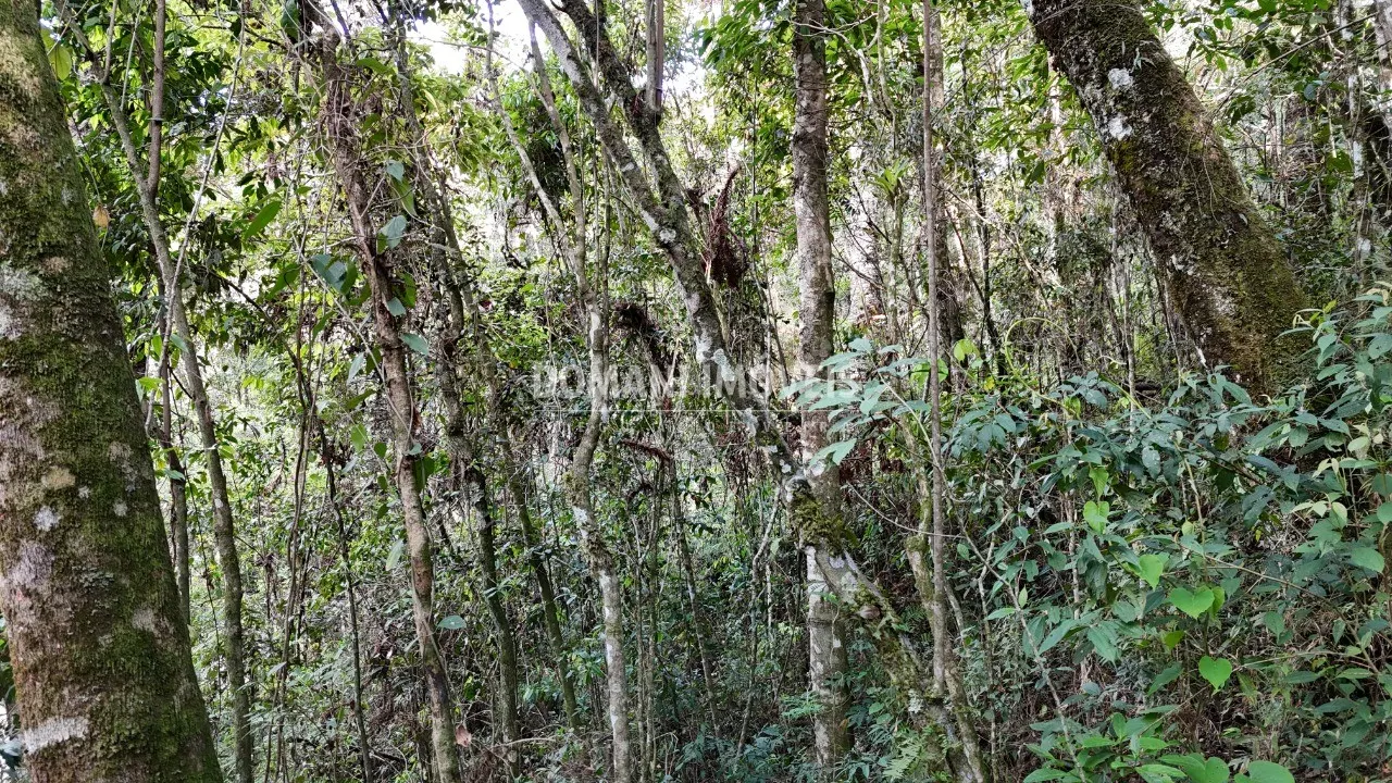 Terreno à venda de 1.040 m² em Campos do Jordão, SP, Brasil