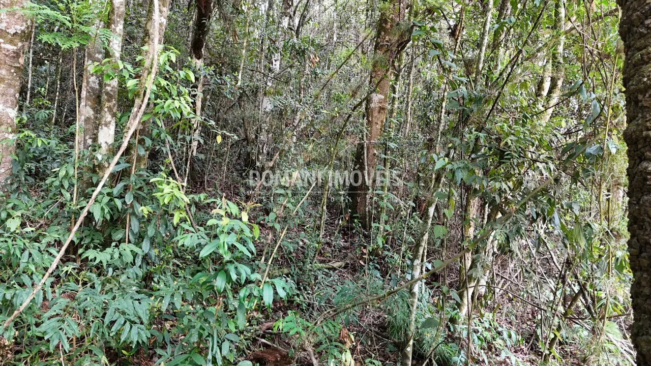 Terreno à venda de 1.040 m² em Campos do Jordão, SP, Brasil