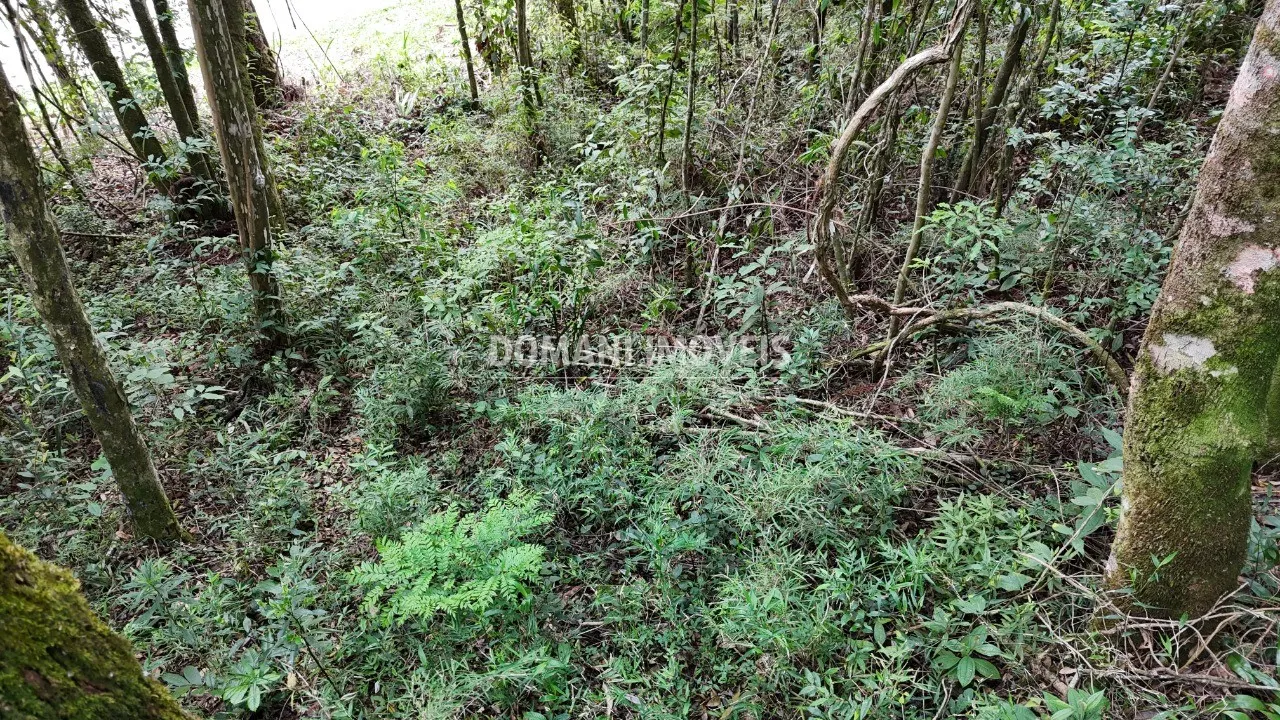 Terreno à venda de 1.040 m² em Campos do Jordão, SP, Brasil