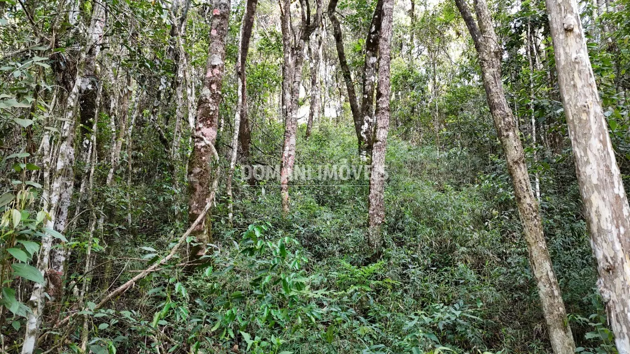 Terreno à venda de 1.040 m² em Campos do Jordão, SP, Brasil