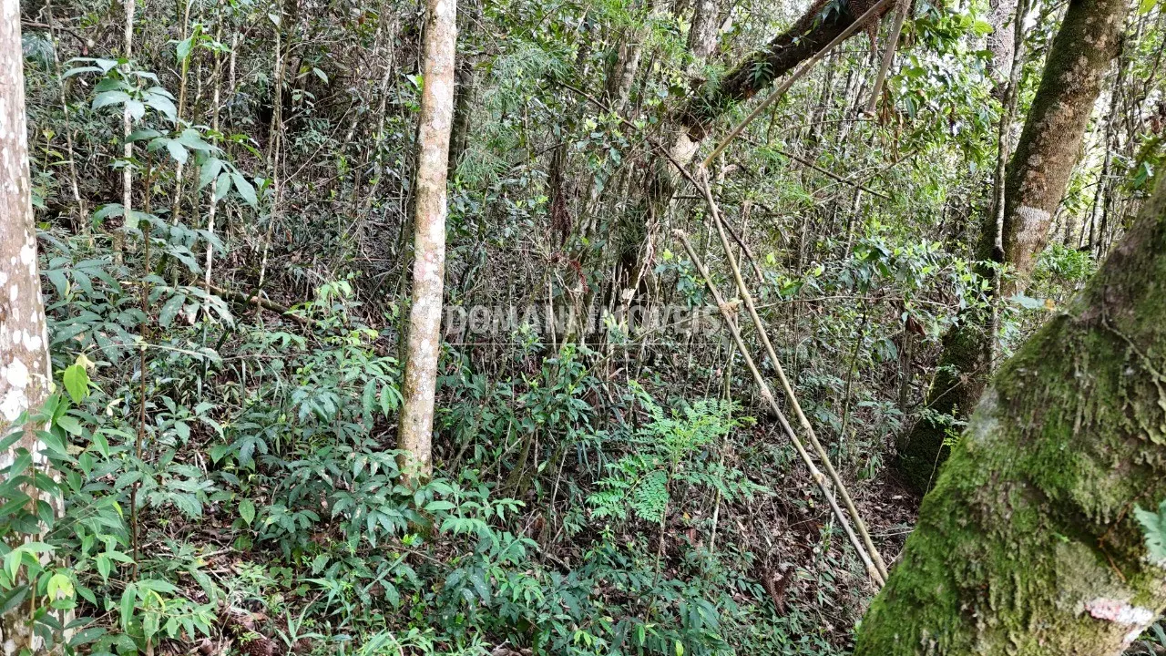 Terreno à venda de 1.040 m² em Campos do Jordão, SP, Brasil