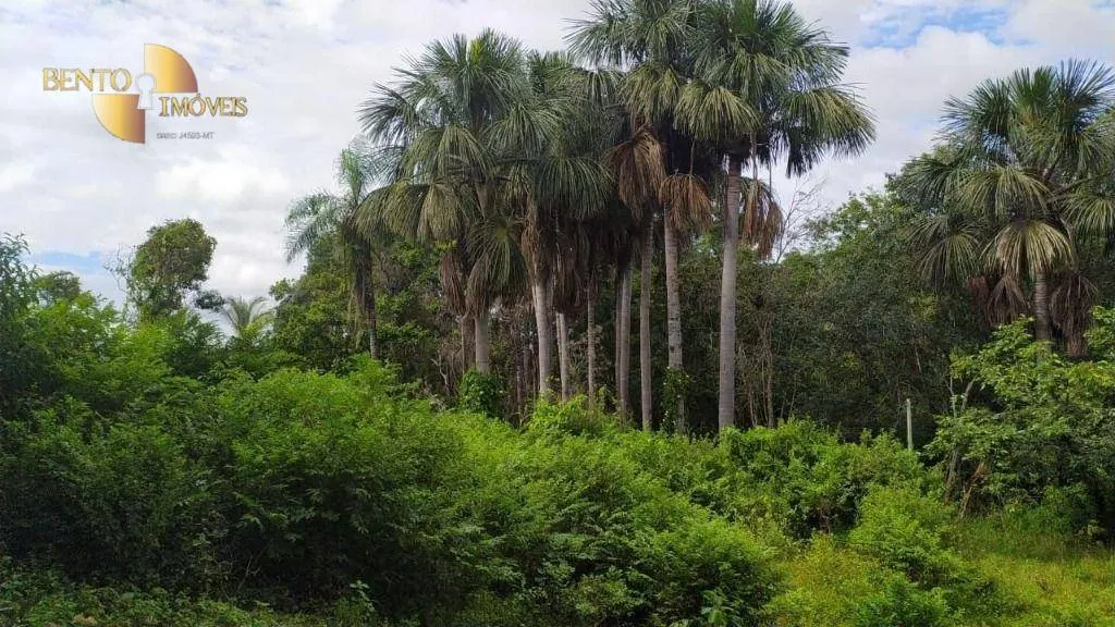 Sítio à venda de 70 ha em Nossa Senhora do Livramento, MT, Brasil