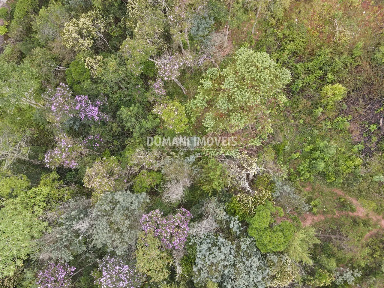 Plot for sale of 1,550 m² in Campos do Jordão, SP, Brazil