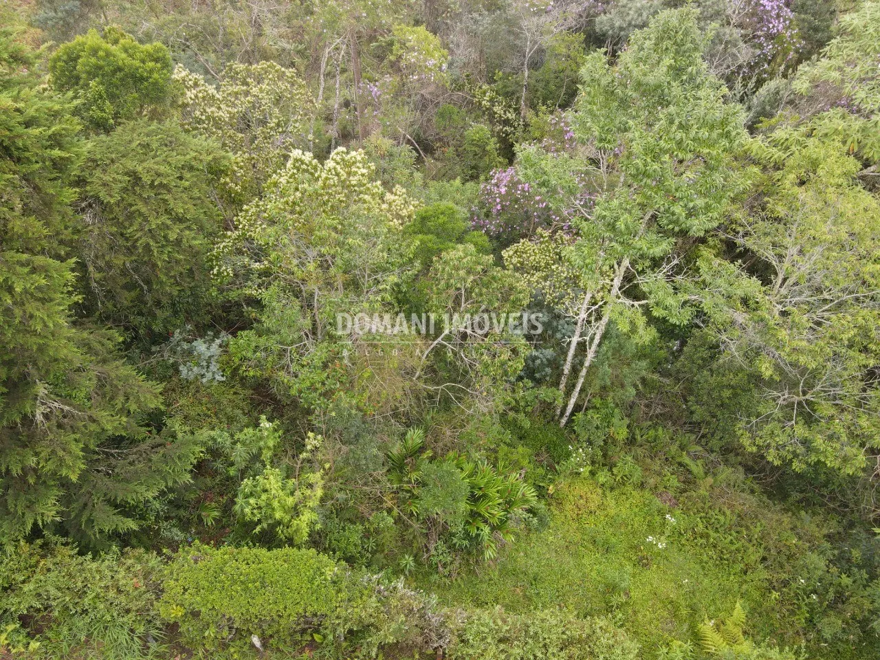 Plot for sale of 1,550 m² in Campos do Jordão, SP, Brazil