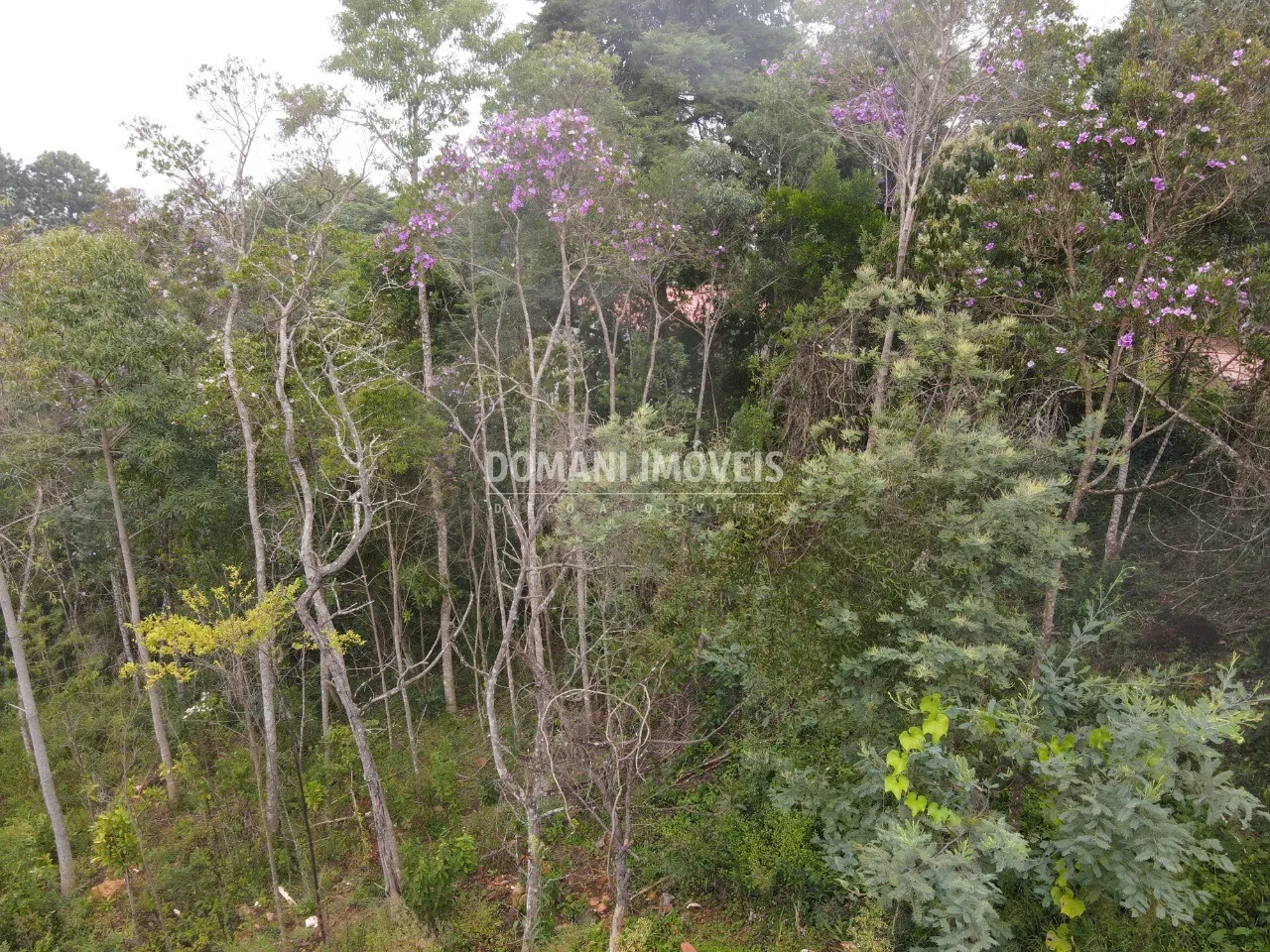Plot for sale of 1,550 m² in Campos do Jordão, SP, Brazil