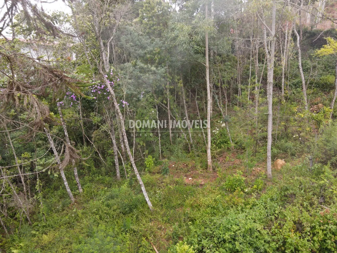 Plot for sale of 1,550 m² in Campos do Jordão, SP, Brazil