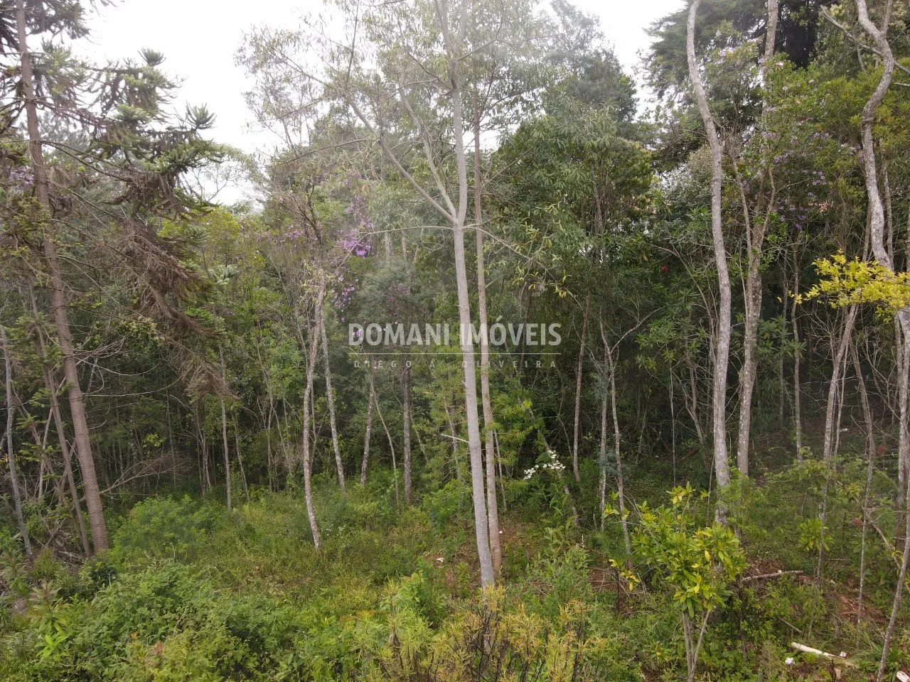 Plot for sale of 1,550 m² in Campos do Jordão, SP, Brazil