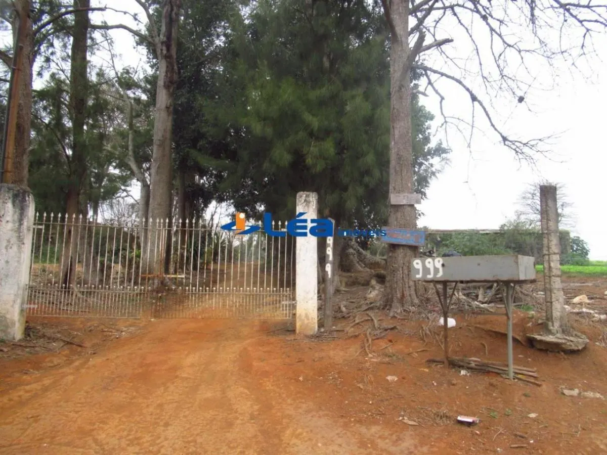 Small farm for sale of 28 acres in Suzano, SP, Brazil