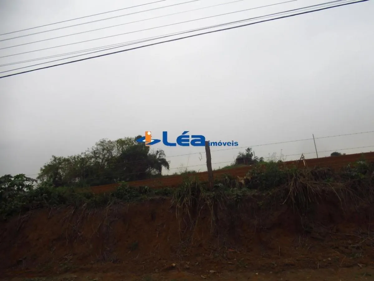 Small farm for sale of 28 acres in Suzano, SP, Brazil