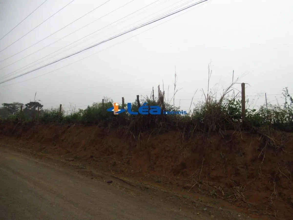 Small farm for sale of 28 acres in Suzano, SP, Brazil