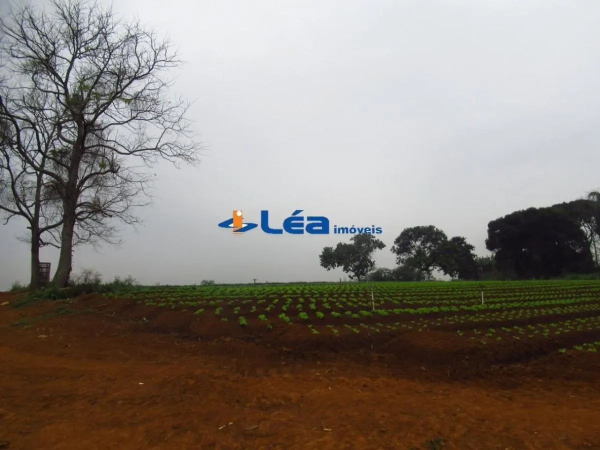 Small farm for sale of 28 acres in Suzano, SP, Brazil