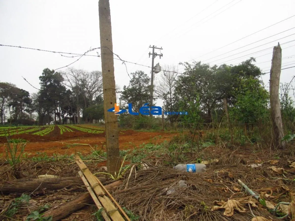 Small farm for sale of 28 acres in Suzano, SP, Brazil