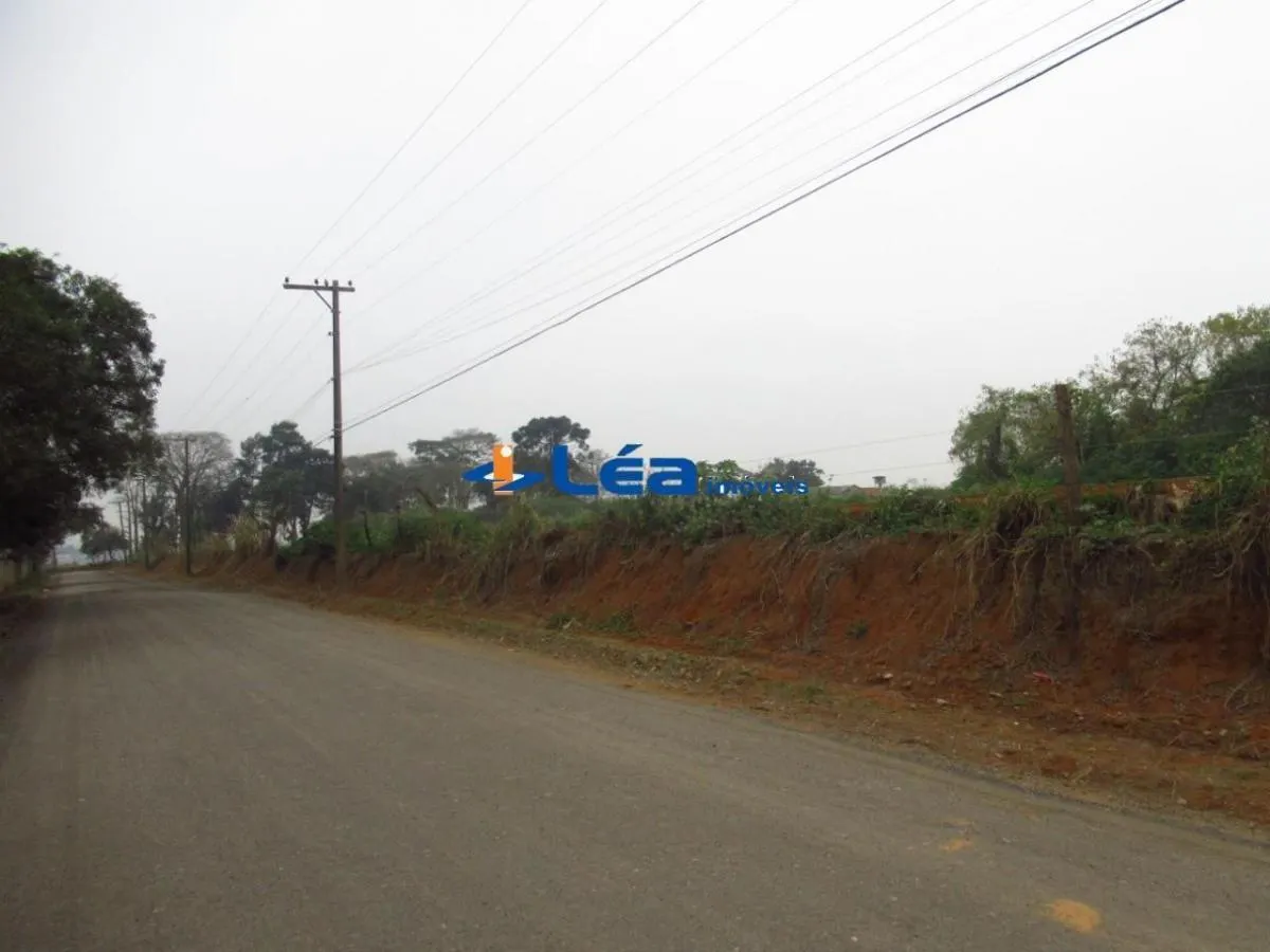 Small farm for sale of 28 acres in Suzano, SP, Brazil