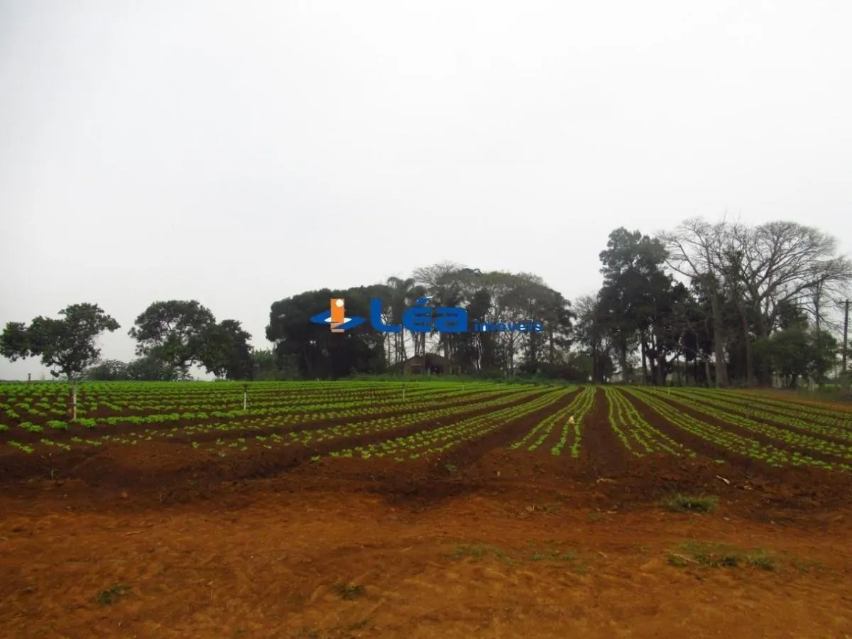 Small farm for sale of 28 acres in Suzano, SP, Brazil