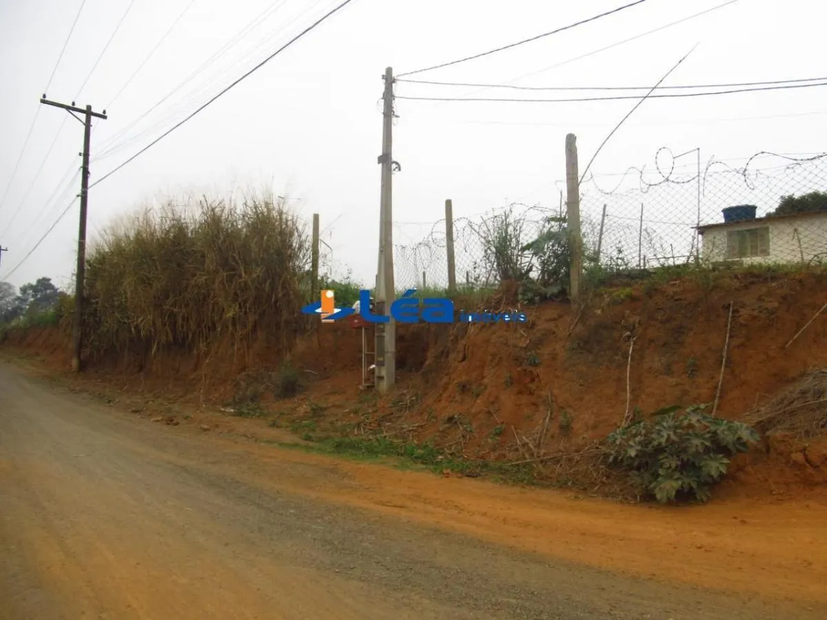 Small farm for sale of 28 acres in Suzano, SP, Brazil