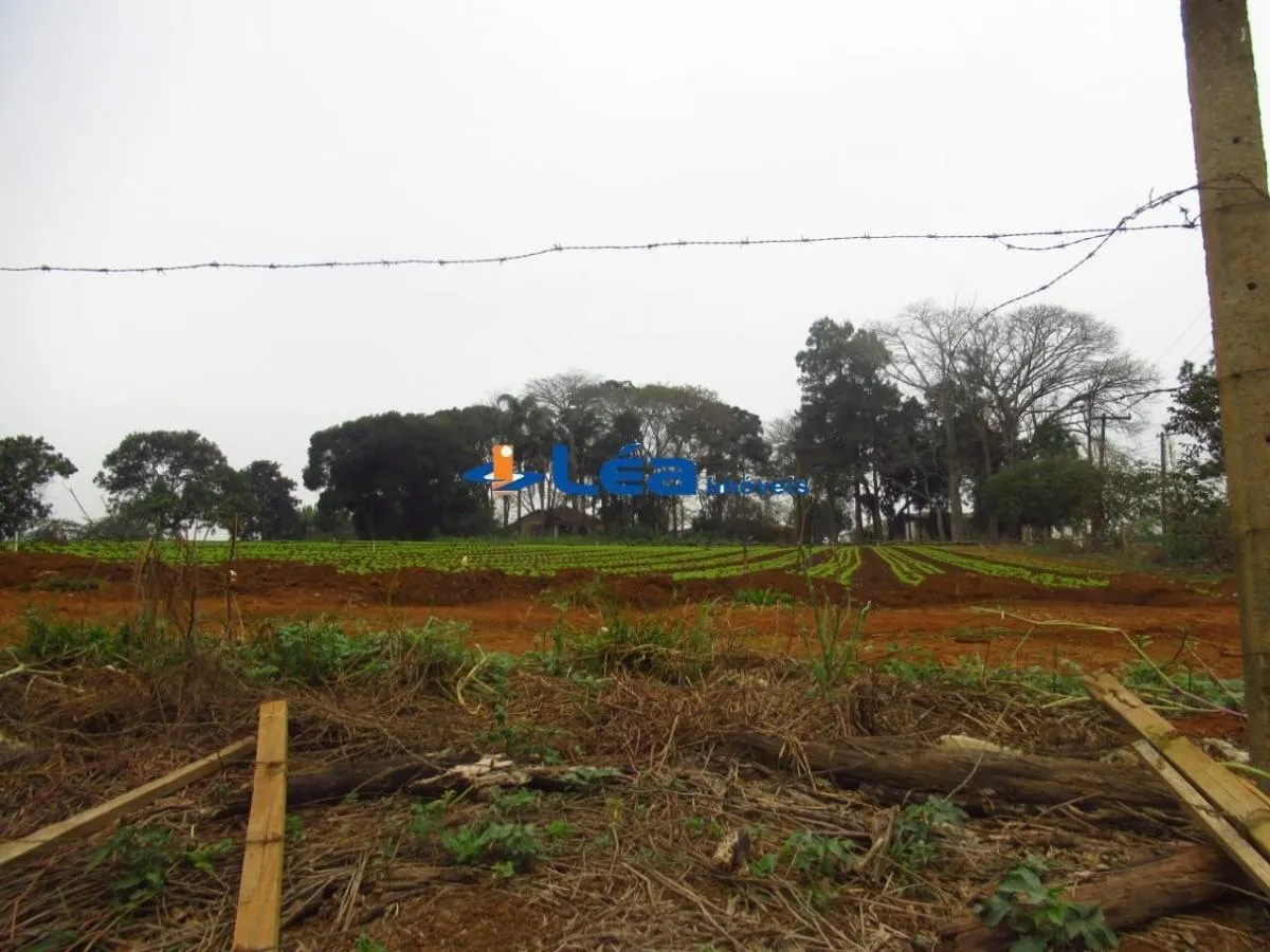Small farm for sale of 28 acres in Suzano, SP, Brazil