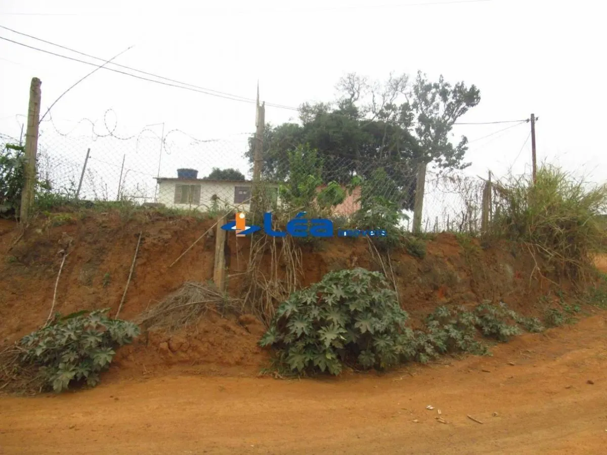 Small farm for sale of 28 acres in Suzano, SP, Brazil