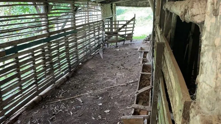 Chácara à venda de 7 ha em Nova Hartz, RS, Brasil
