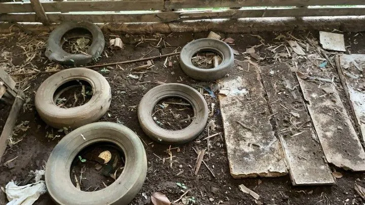 Chácara à venda de 7 ha em Nova Hartz, RS, Brasil