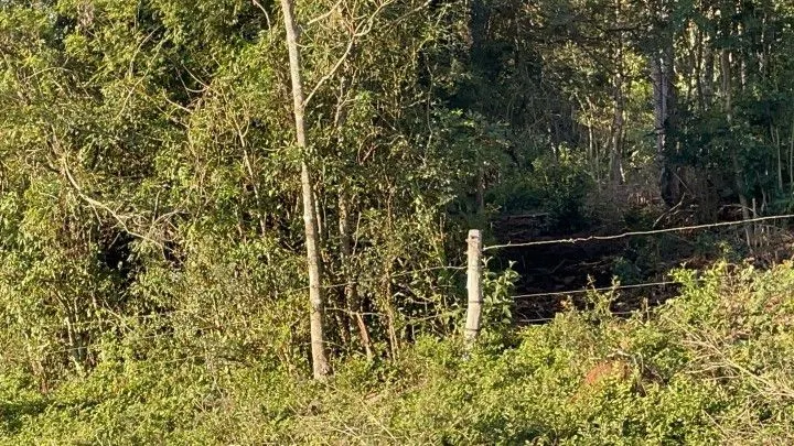 Chácara à venda de 7 ha em Nova Hartz, RS, Brasil