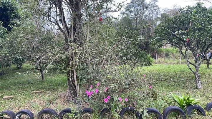 Chácara à venda de 7 ha em Nova Hartz, RS, Brasil