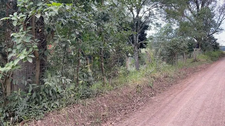 Chácara à venda de 7 ha em Nova Hartz, RS, Brasil