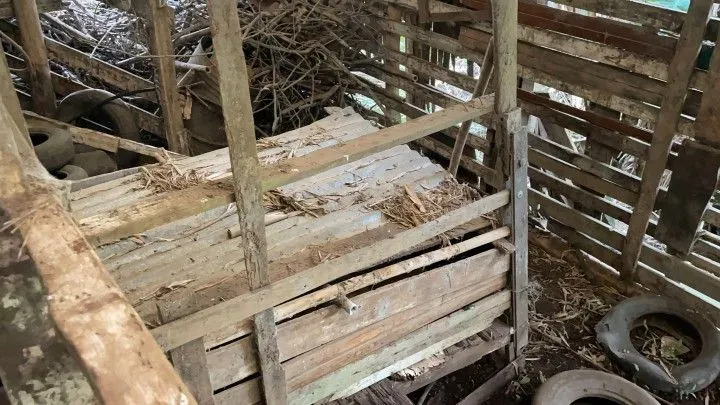 Chácara à venda de 7 ha em Nova Hartz, RS, Brasil