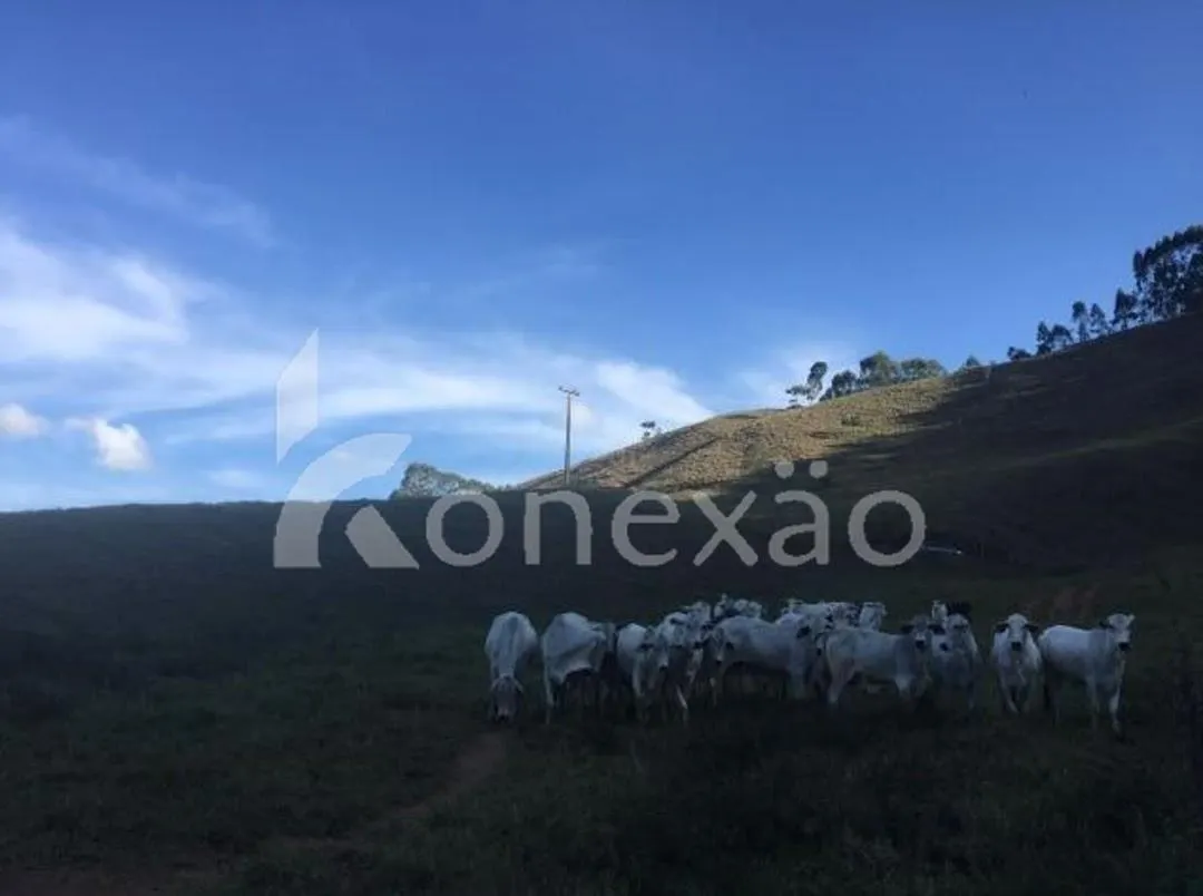 Fazenda à venda de 90 ha em Natividade da Serra, SP, Brasil