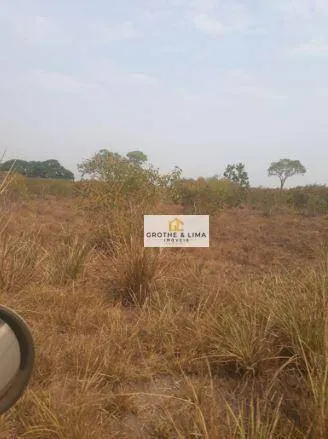 Fazenda à venda de 12.971 ha em Lagoa da Confusão, TO, Brasil