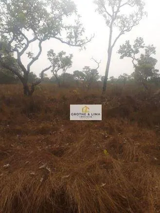 Fazenda à venda de 12.971 ha em Lagoa da Confusão, TO, Brasil