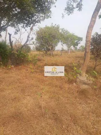 Fazenda à venda de 12.971 ha em Lagoa da Confusão, TO, Brasil