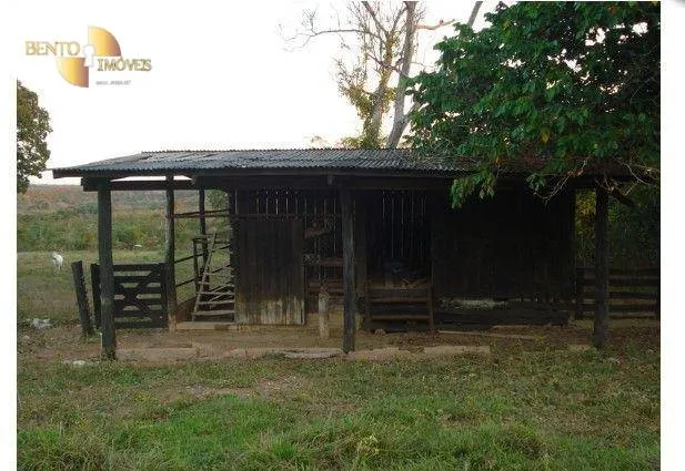 Fazenda à venda de 540 ha em Jangada, MT, Brasil