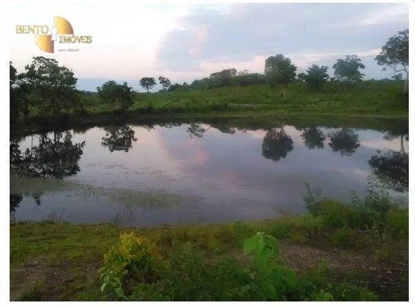 Fazenda à venda de 540 ha em Jangada, MT, Brasil