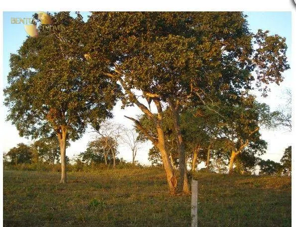 Fazenda à venda de 540 ha em Jangada, MT, Brasil