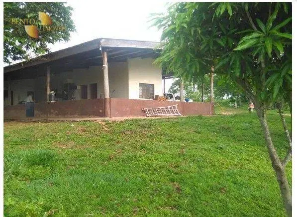 Fazenda à venda de 540 ha em Jangada, MT, Brasil