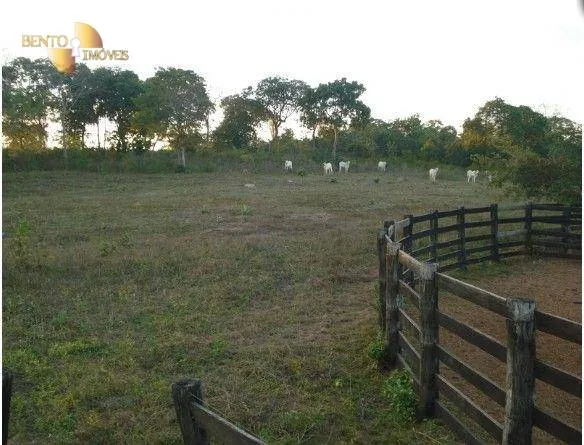 Fazenda à venda de 540 ha em Jangada, MT, Brasil