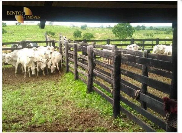 Fazenda à venda de 540 ha em Jangada, MT, Brasil