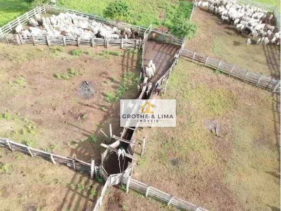 Farm for sale of 154,441 acres in Cáceres, MT, Brazil